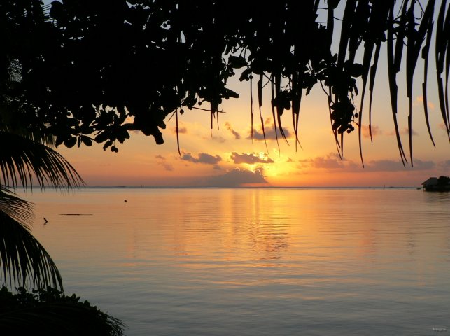 131- Coucher de soleil sur le lagon 